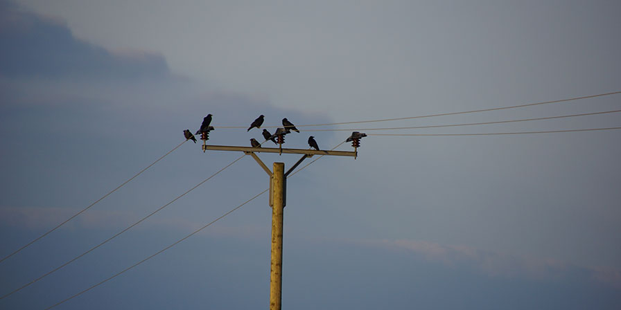 Ostrach - Vielfalt.Leben.Sein.