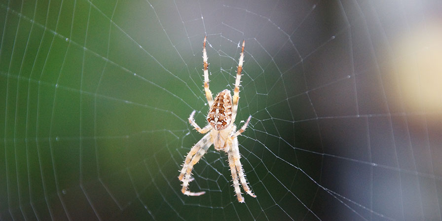 Ostrach - Vielfalt.Leben.Sein.